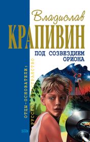 Книга - Пять скачков до горизонта.  Владислав Петрович Крапивин  - прочитать полностью в библиотеке КнигаГо