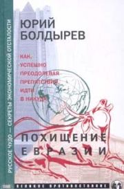 Книга - Похищение Евразии.  Юрий Юрьевич Болдырев  - прочитать полностью в библиотеке КнигаГо