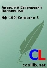 Нф-100: Синтетик-3. Анатолий Евгеньевич Половинкин