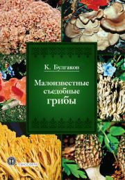 Книга - Малоизвестные съедобные грибы.  Касим Галиевич Булгаков  - прочитать полностью в библиотеке КнигаГо