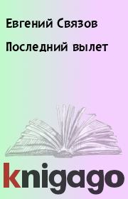 Книга - Последний вылет.  Евгений Связов  - прочитать полностью в библиотеке КнигаГо