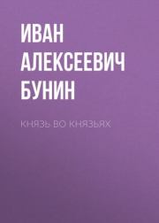 Книга - Князь во князьях.  Иван Алексеевич Бунин  - прочитать полностью в библиотеке КнигаГо