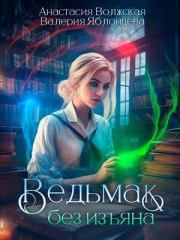 Книга - Ведьмак без изъяна.  Анастасия Волжская , Валерия Яблонцева  - прочитать полностью в библиотеке КнигаГо