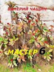 Книга - Мастер 6.  Валерий Чащин  - прочитать полностью в библиотеке КнигаГо