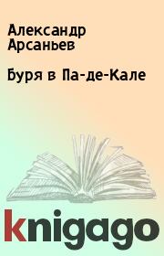 Книга - Буря в Па-де-Кале.  Александр Арсаньев  - прочитать полностью в библиотеке КнигаГо