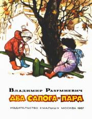 Книга - Два сапога — пара.  Владимир Лукьянович Разумневич  - прочитать полностью в библиотеке КнигаГо