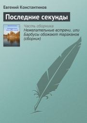 Книга - Последние секунды.  Евгений Михайлович Константинов  - прочитать полностью в библиотеке КнигаГо