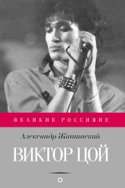 Книга - Виктор Цой.  Александр Николаевич Житинский  - прочитать полностью в библиотеке КнигаГо