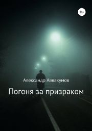 Погоня за призраком. Александр Леонидович Аввакумов