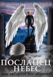 Книга - Посланец Небес, или Заберите его обратно!.  Алиса Чернышова  - прочитать полностью в библиотеке КнигаГо