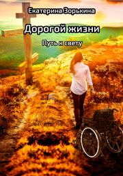 Книга - Дорогой жизни: Путь к свету.  Екатерина Валерьевна Зорькина  - прочитать полностью в библиотеке КнигаГо