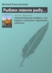 Книга - Рыбаки ловили рыбу….  Евгений Михайлович Константинов  - прочитать полностью в библиотеке КнигаГо