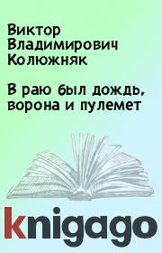 Книга - В раю был дождь, ворона и пулемет.  Виктор Владимирович Колюжняк  - прочитать полностью в библиотеке КнигаГо