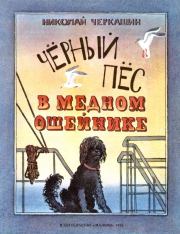 Книга - Чёрный пёс в медном ошейнике.  Николай Андреевич Черкашин  - прочитать полностью в библиотеке КнигаГо
