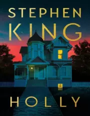 Книга - Холли.  Стивен Кинг  - прочитать полностью в библиотеке КнигаГо