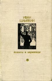 Книга - Торговка и поэт.  Иван Петрович Шамякин  - прочитать полностью в библиотеке КнигаГо