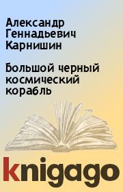 Книга - Большой черный космический корабль.  Александр Геннадьевич Карнишин  - прочитать полностью в библиотеке КнигаГо