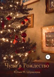 Книга - Чудо в Рождество.  Юлия Н. Шувалова  - прочитать полностью в библиотеке КнигаГо