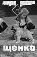 Книга - Воспитание щенка.  Валерьян Никитович Зубко  - прочитать полностью в библиотеке КнигаГо