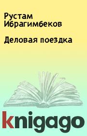 Книга - Деловая поездка.  Рустам Ибрагимбеков  - прочитать полностью в библиотеке КнигаГо
