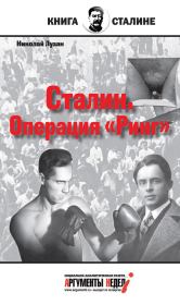 Книга - Сталин. Операция «Ринг».  Николай Николаевич Лузан  - прочитать полностью в библиотеке КнигаГо