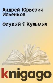 Книга - Флудий & Кузьмич.  Андрей Юрьевич Ильенков  - прочитать полностью в библиотеке КнигаГо