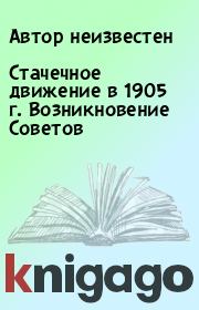Стачечное движение в 1905 г. Возникновение Советов. Автор неизвестен