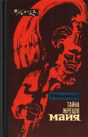 Книга - Тайна жрецов майя.  Владимир Александрович Кузьмищев  - прочитать полностью в библиотеке КнигаГо
