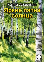 Книга - Яркие пятна солнца.  Юрий Сергеевич Аракчеев  - прочитать полностью в библиотеке КнигаГо