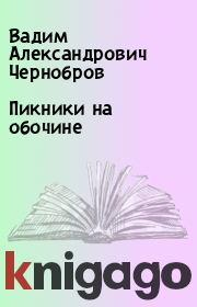 Книга - Пикники на обочине.  Вадим Александрович Чернобров  - прочитать полностью в библиотеке КнигаГо