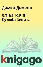 Книга - S.T.A.L.K.E.R. Судьба зенита.  Димка Димкин  - прочитать полностью в библиотеке КнигаГо