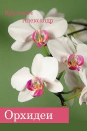 Книга - Орхидеи.  Александр Курлович  - прочитать полностью в библиотеке КнигаГо
