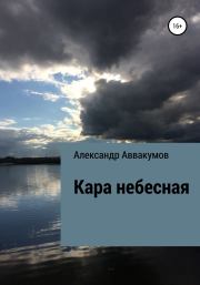 Книга - Кара небесная.  Александр Леонидович Аввакумов  - прочитать полностью в библиотеке КнигаГо