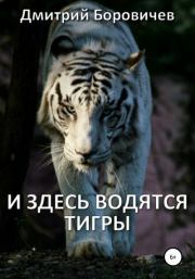 Книга - И здесь водятся тигры.  Дмитрий Боровичев  - прочитать полностью в библиотеке КнигаГо