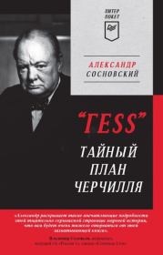Книга - «ГESS». Тайный план Черчилля.  Александр Сосновский  - прочитать полностью в библиотеке КнигаГо