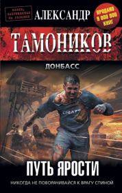 Книга - Путь ярости.  Александр Александрович Тамоников  - прочитать полностью в библиотеке КнигаГо