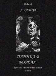 Книга - Паника в Борках. Русский оккультный роман. Том II.  Александра Свида  - прочитать полностью в библиотеке КнигаГо