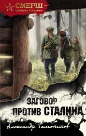 Книга - Заговор против Сталина.  Александр Александрович Тамоников  - прочитать полностью в библиотеке КнигаГо