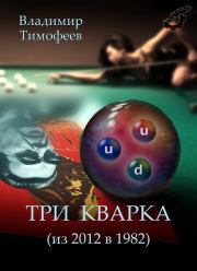 Книга - Три кварка (из 2012 в 1982).  Владимир Анатольевич Тимофеев  - прочитать полностью в библиотеке КнигаГо