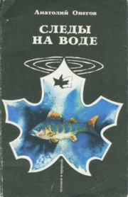 Книга - Следы на воде.  Анатолий Сергеевич Онегов  - прочитать полностью в библиотеке КнигаГо