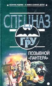 Книга - Позывной «Пантера».  Михаил Петрович Нестеров  - прочитать полностью в библиотеке КнигаГо