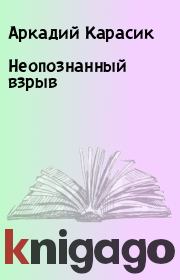 Книга - Неопознанный взрыв.  Аркадий Карасик  - прочитать полностью в библиотеке КнигаГо