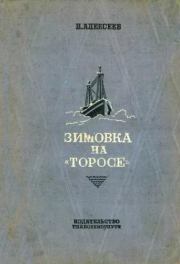 Книга - Зимовка на «Торосе».  Николай Николаевич Алексеев  - прочитать полностью в библиотеке КнигаГо