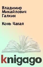 Книга - Конь Чапая.  Владимир Михайлович Галкин  - прочитать полностью в библиотеке КнигаГо