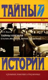 Книга - Тайны Кремля.  Юрий Николаевич Жуков  - прочитать полностью в библиотеке КнигаГо