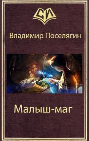 Книга - Малыш-маг.  Владимир Геннадьевич Поселягин  - прочитать полностью в библиотеке КнигаГо