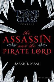Книга - Убийца и пиратский лорд (ЛП).  Сара Дж Маас  - прочитать полностью в библиотеке КнигаГо