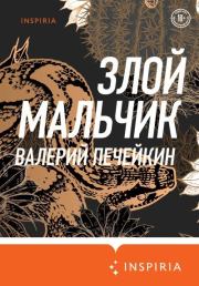 Книга - Злой мальчик.  Валерий Валерьевич Печейкин  - прочитать полностью в библиотеке КнигаГо