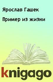 Книга - Пример из жизни.  Ярослав Гашек  - прочитать полностью в библиотеке КнигаГо