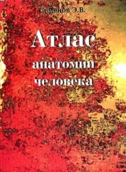 Книга - Атлас анатомии человека.  Эдуард Викторович Семенов  - прочитать полностью в библиотеке КнигаГо